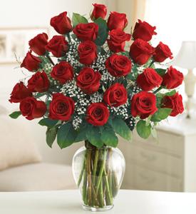 24 Long Stem Roses