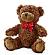 Adorable Plush Bear – YOSI'S CREATIONS, Tucson AZ