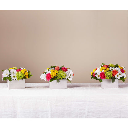 Sorbet Bouquet – YOSI'S CREATIONS, Tucson AZ