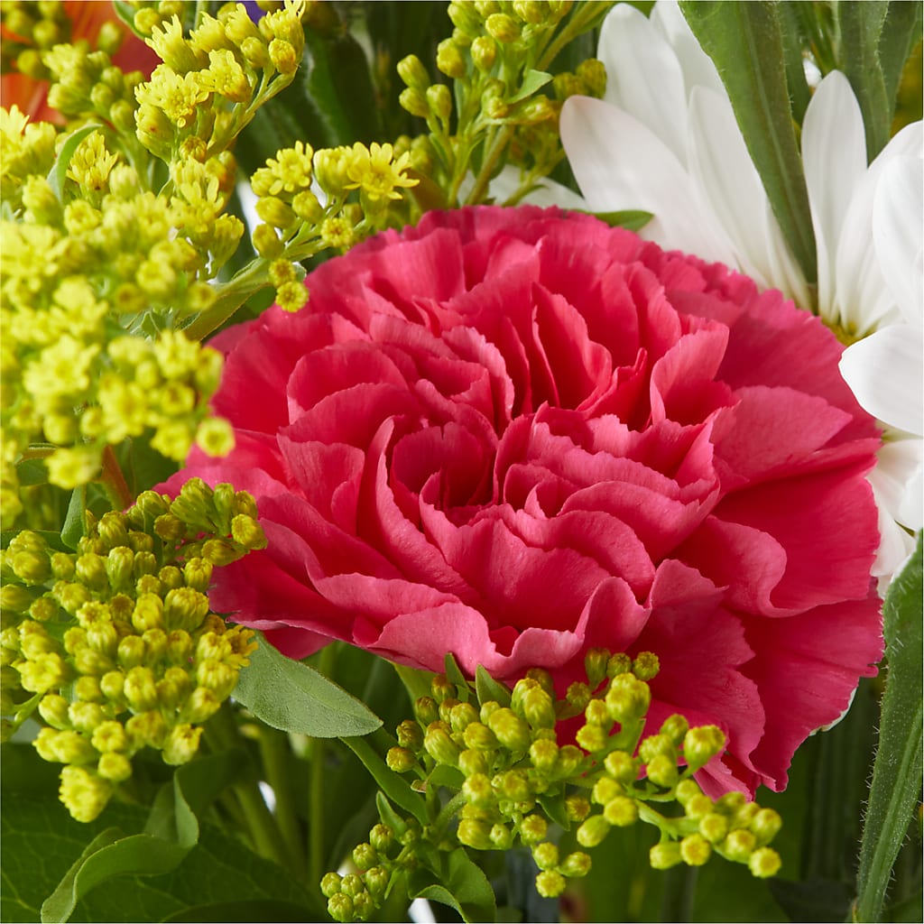 Oopsie Daisy Bouquet – YOSI'S CREATIONS, Tucson AZ